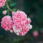 Ashley Kaufmann: What’s New and What’s Next?