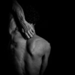 human body anatomy budget