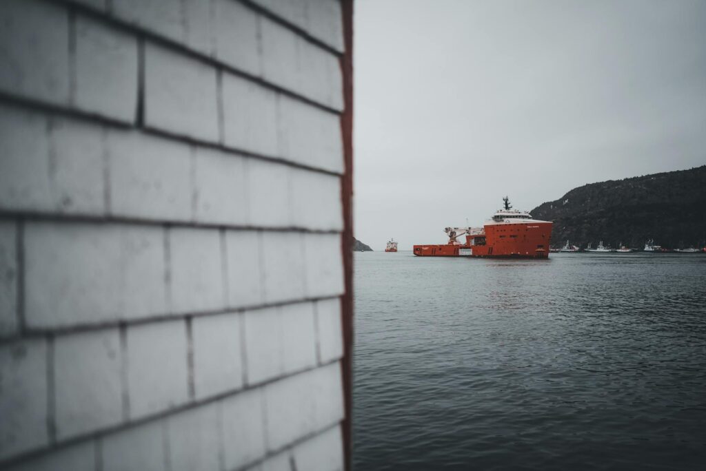 John Young Shipka : Ce Que Vous Devez Savoir