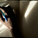 Biography Examples: Crafting Compelling Life Stories in 2026